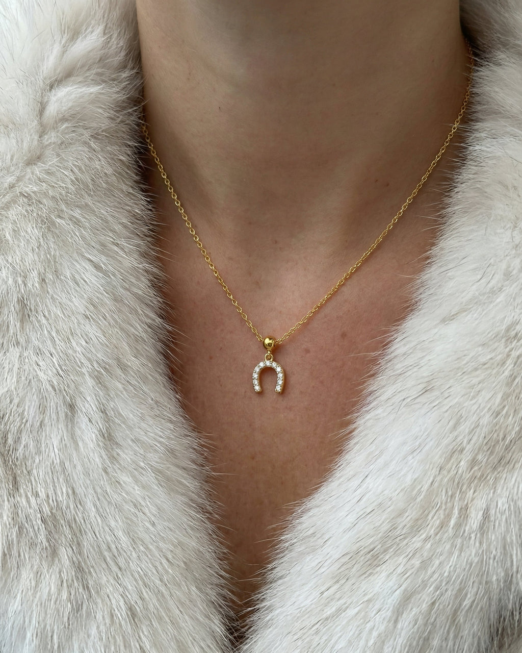 Horse Shoe Charm