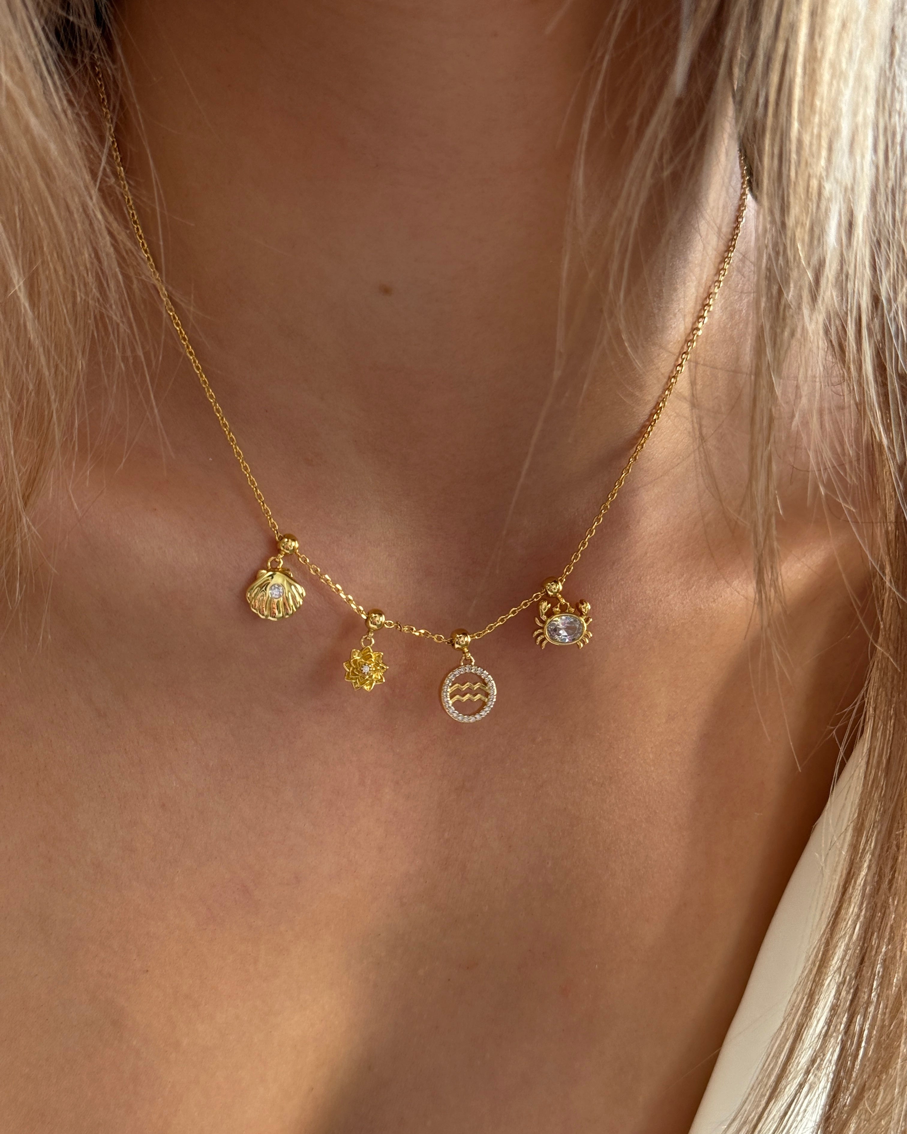 Shell Charm
