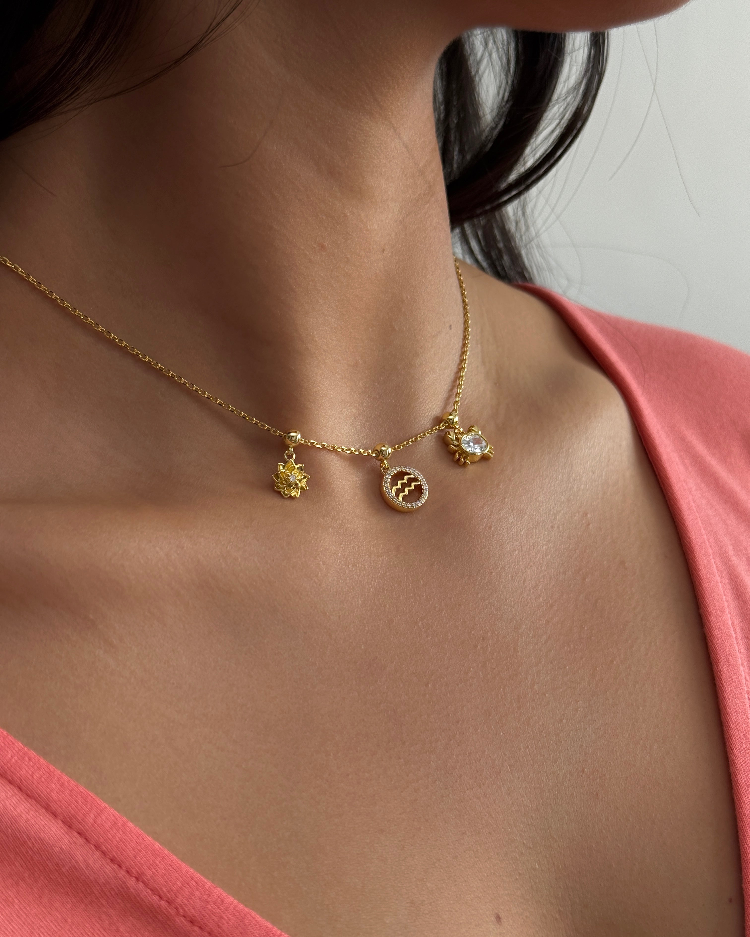 Crab Charm