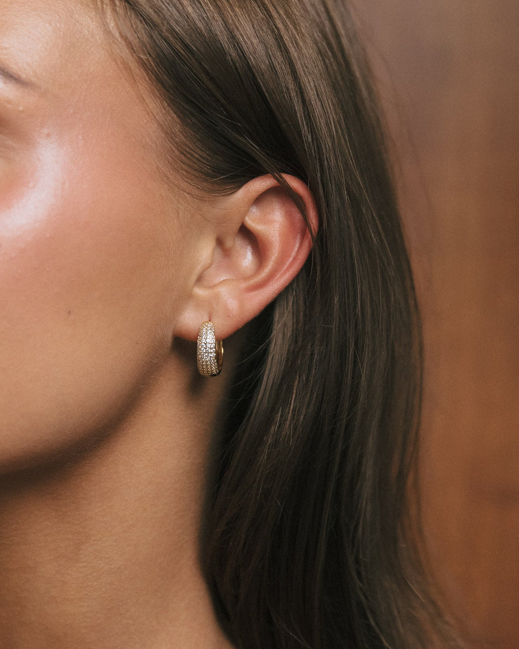 Dome Hoops (L)