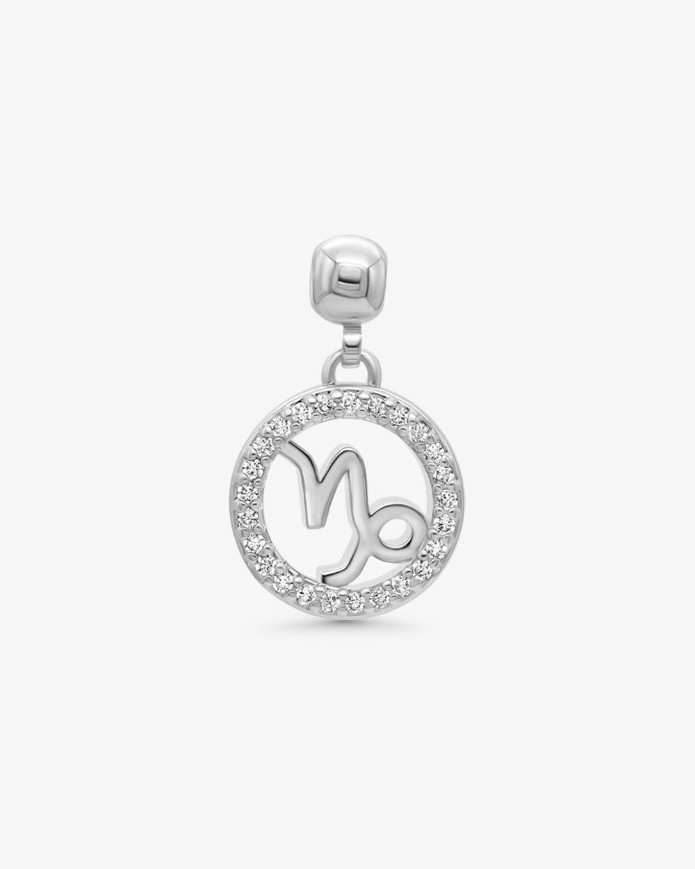 Zodiac Charms