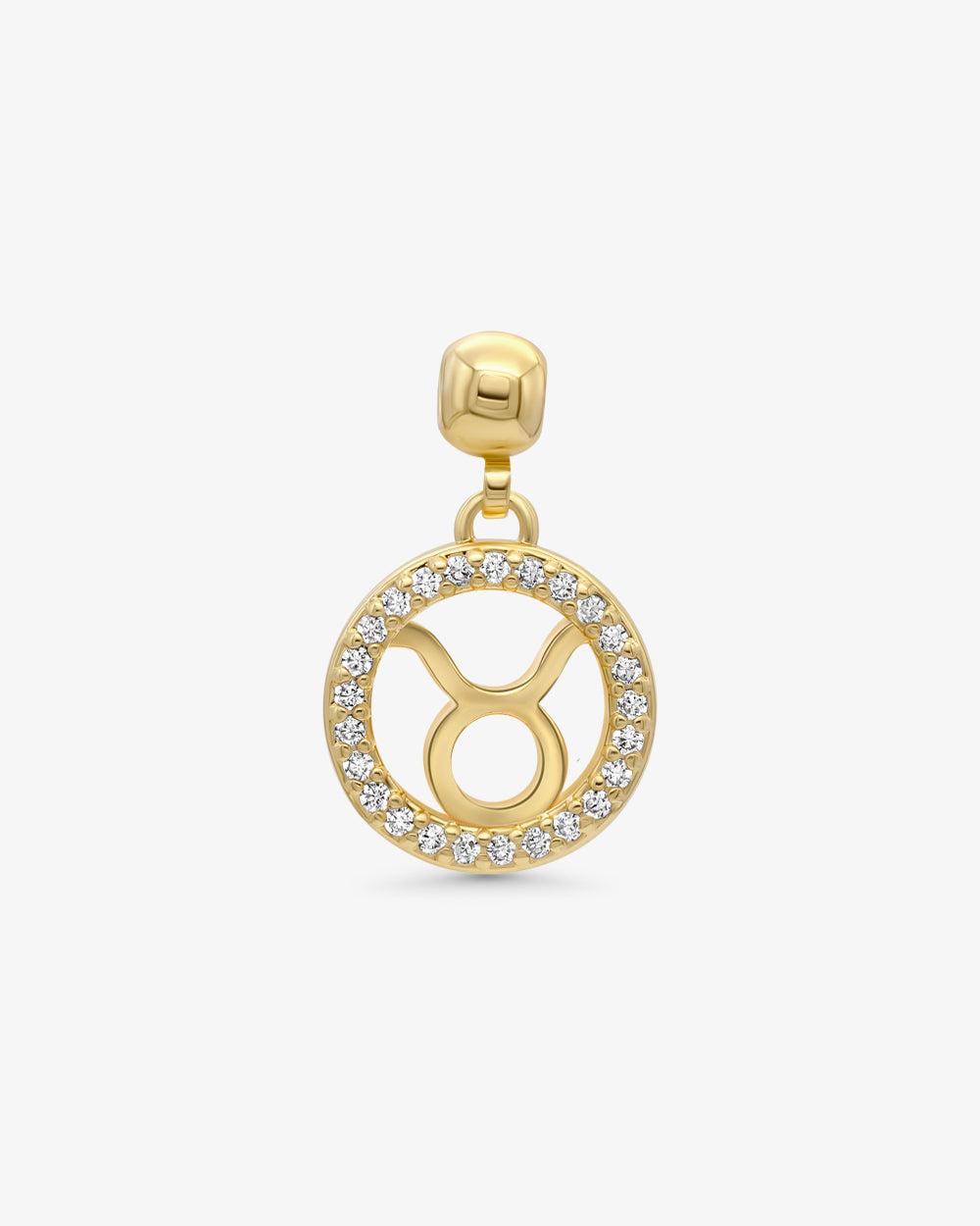 Zodiac Charms