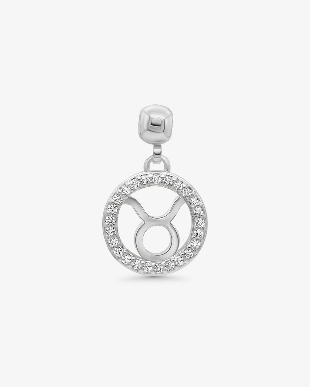 Zodiac Charms