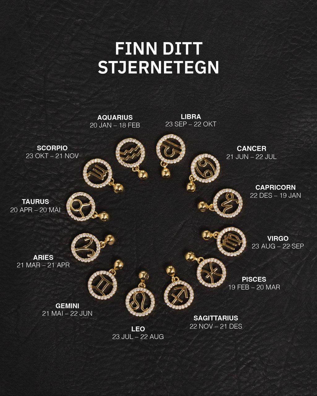 Zodiac Charms