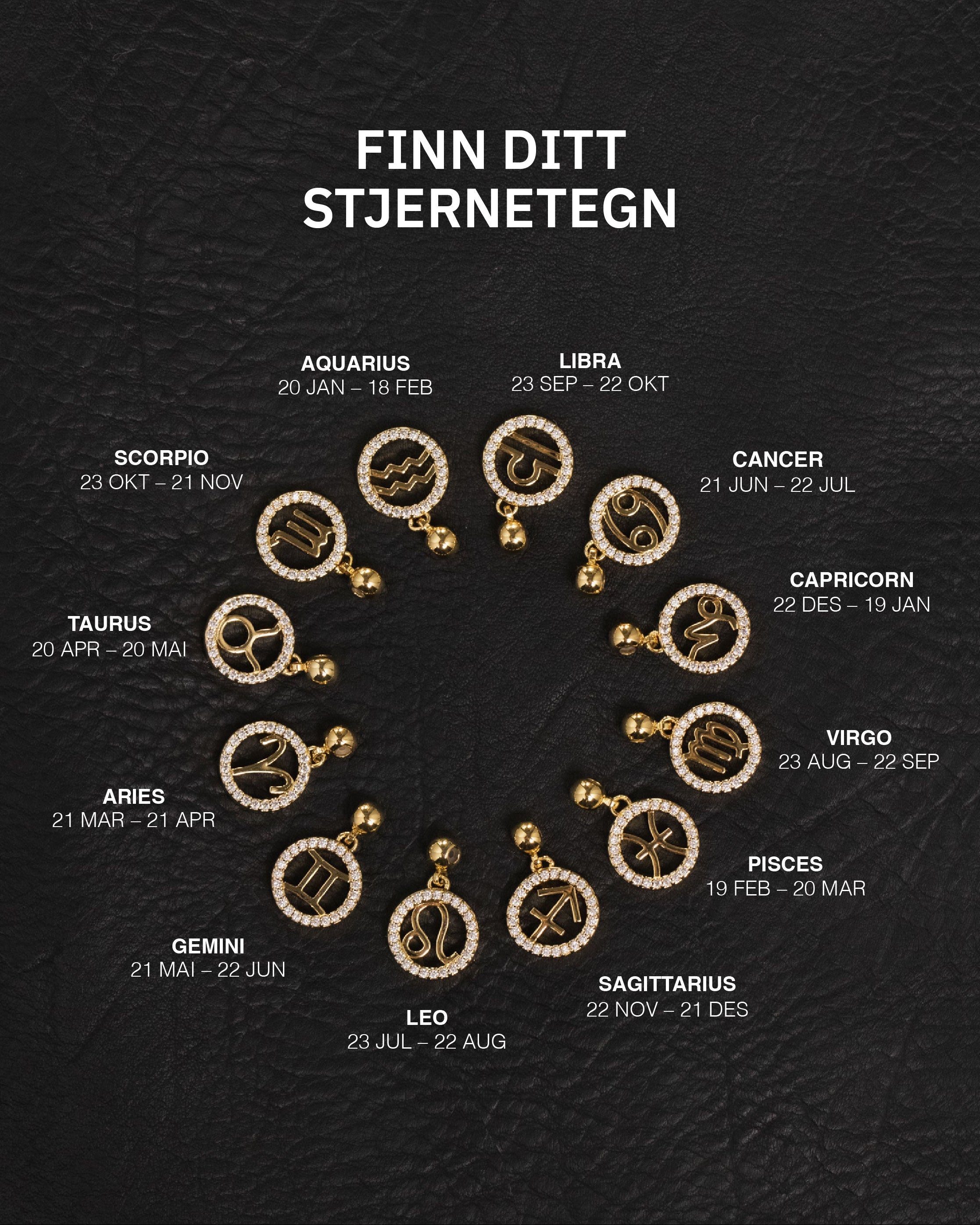 Zodiac Charms